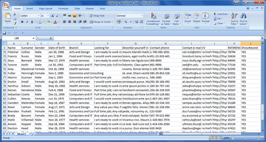 Excel sheet prepared for dbBee