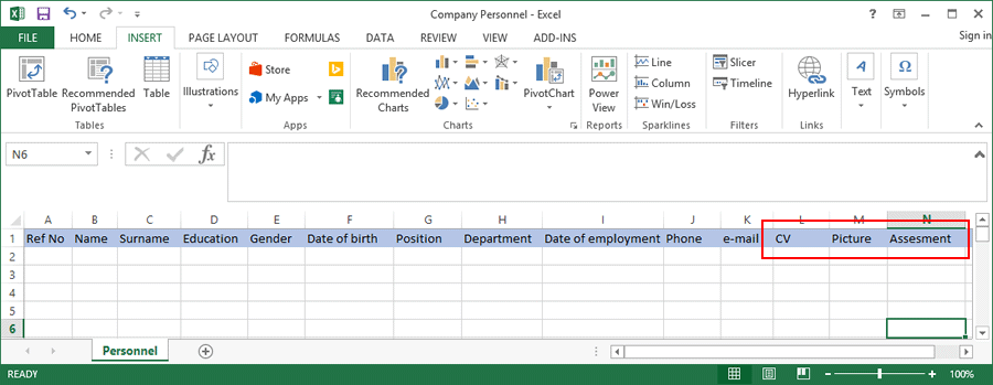 At the end of the table you can see the fields where CV, employee’s picture and assessment should be placed