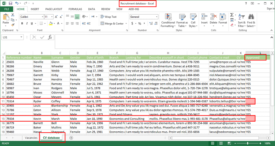 CV database